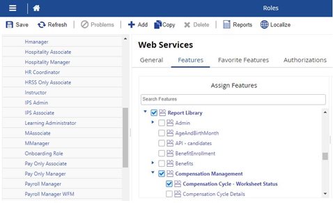 ConfigureAccessToReports3.JPG